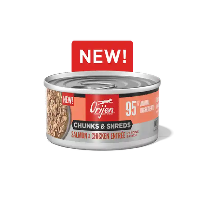 Orijen Cat Chunks Shreds Slmn Chkn Can 3-oz 12/cs