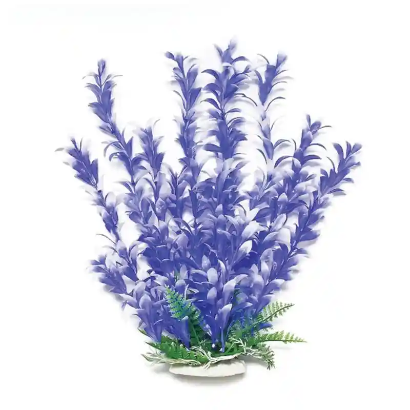 Aquatop Bacopa Plant Blue/White 9"