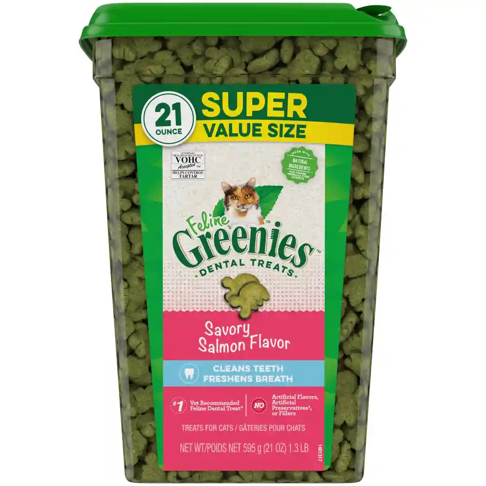 Dental Care Cat Treats Savory Salmon - 21oz Canister