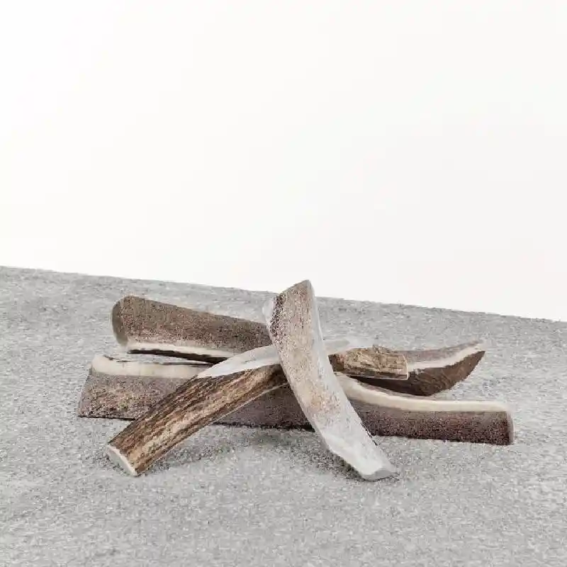 Primal Stag Xlg Split Antler