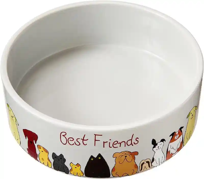 Spot Best Friends Stoneware Dog Dish 7"