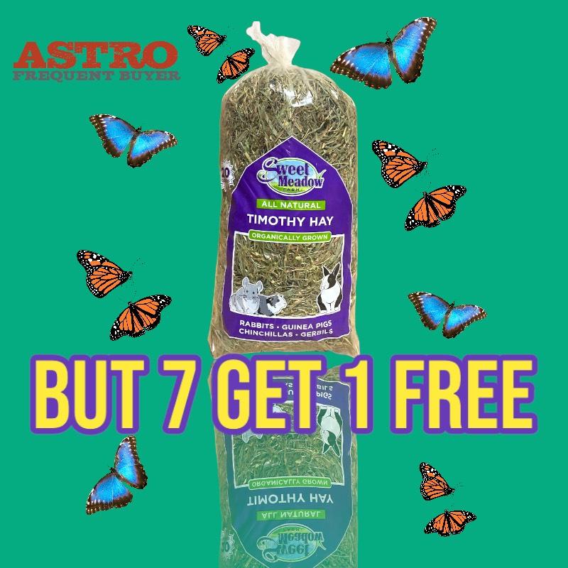 Promotion Image