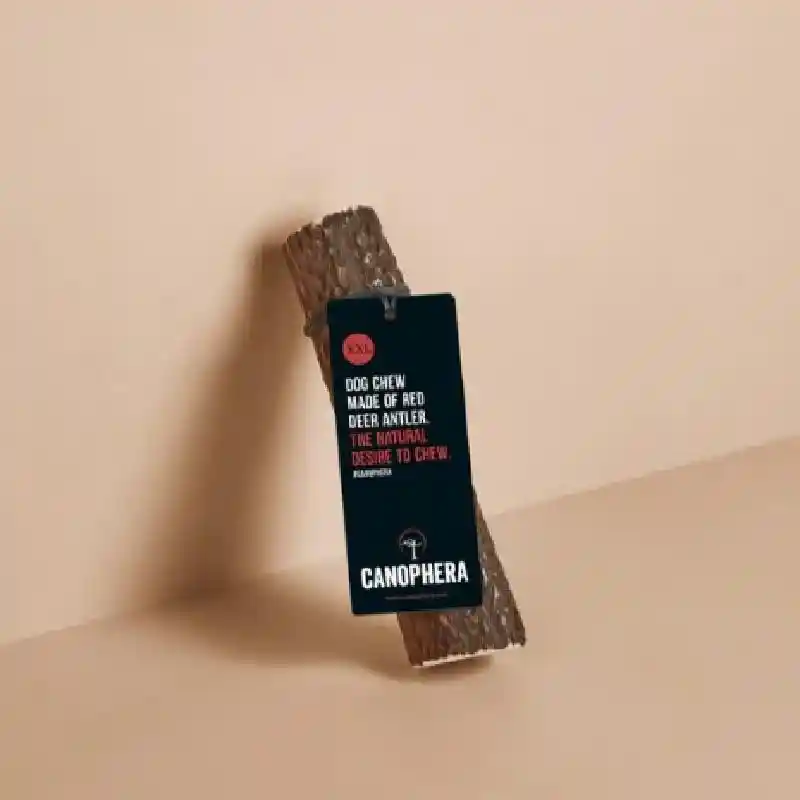 Canophera Dog Whole Red Deer Antler XXL