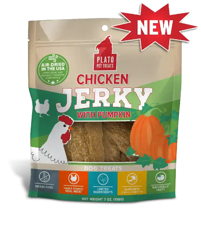 Plato Dog Jerky GF Chicken Pumpkin 16oz