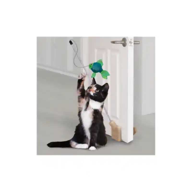 Kong Cat Connects Door Angler Teaser