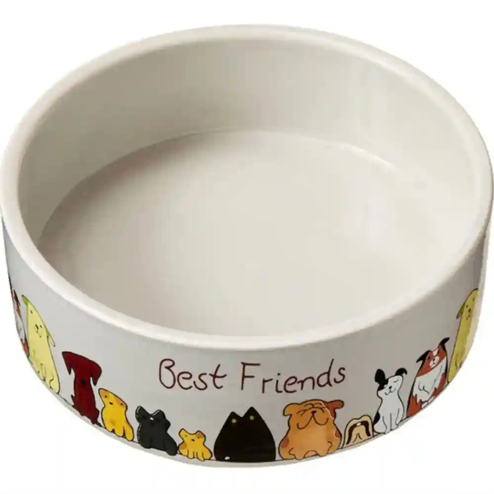 Spot Best Friends Stoneware Dog Dish 5"