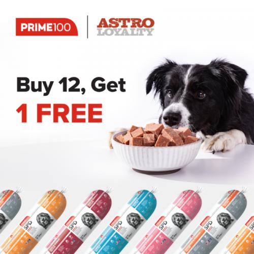Promotion Image