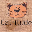 Choo Choo Imports Cati-Tude available at One Stop - Barre in Barre, Vermont