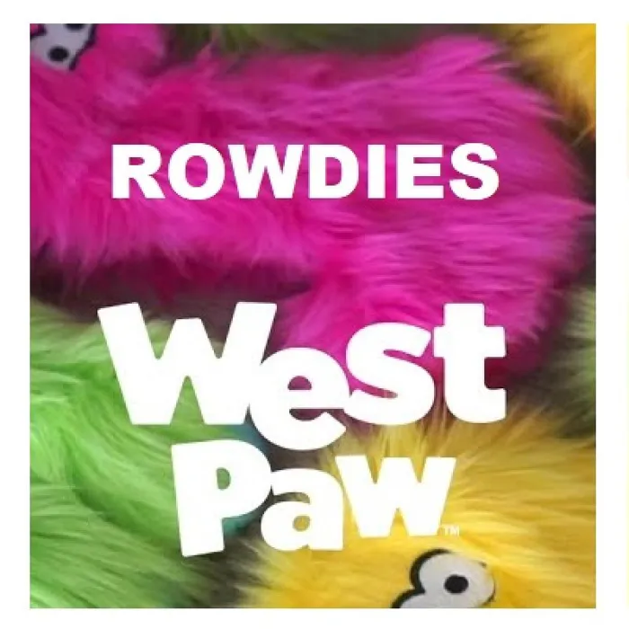 Rowdies