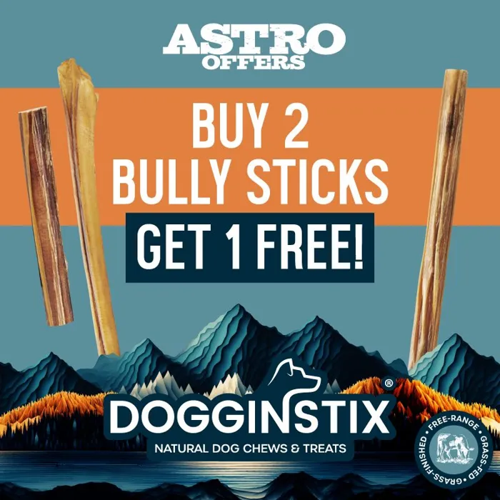 Promotion Image