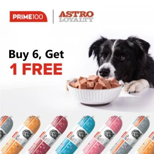 Promotion Image