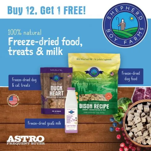 Promotion Image