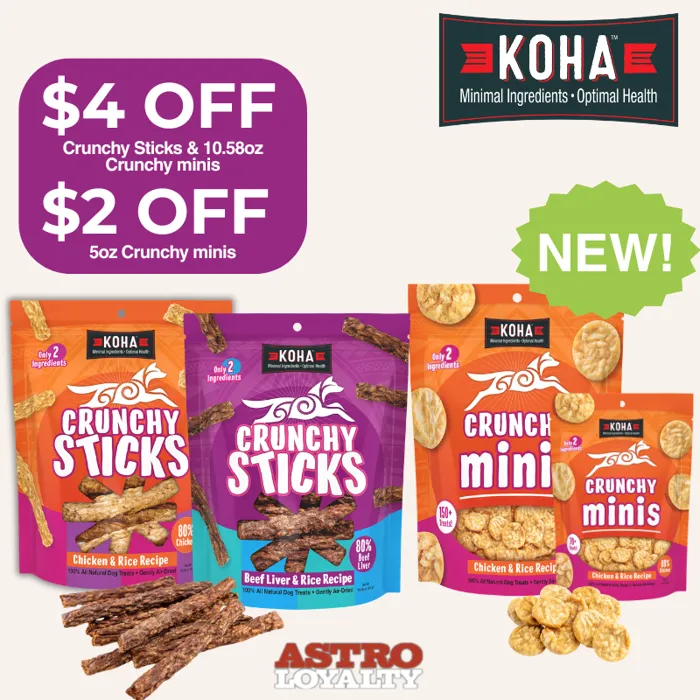 Promotion Image