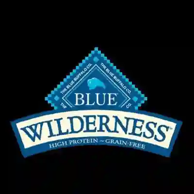 Image Alternative Text