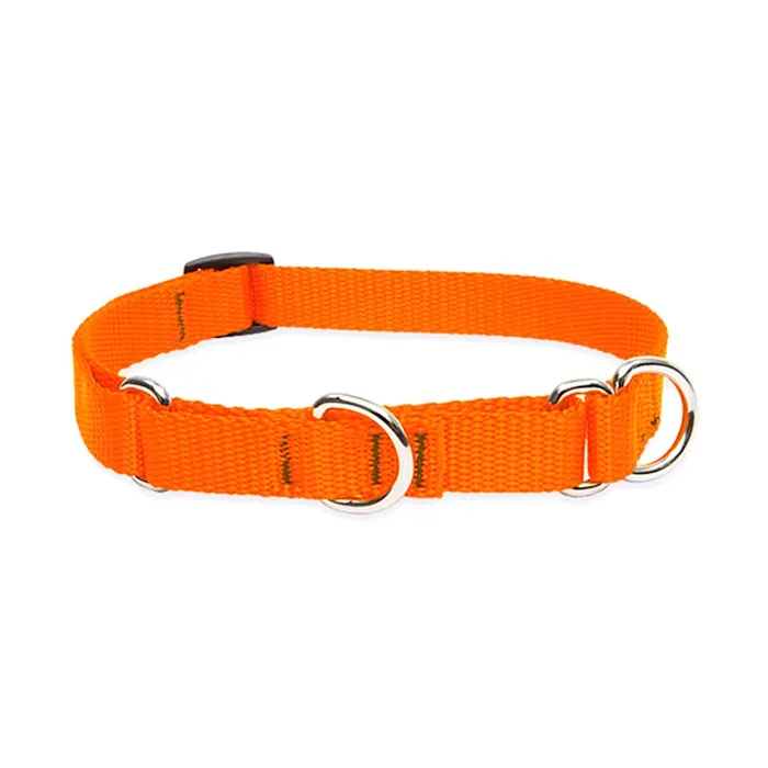 Lupine 3/4" Blaze Orange 14-20" Martingale