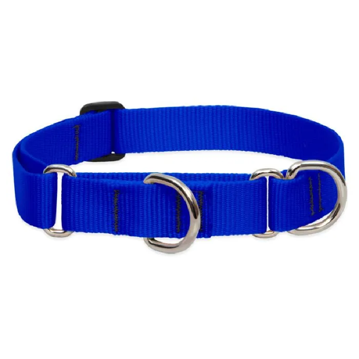 Lupine 1" Blue 19-27" Martingale