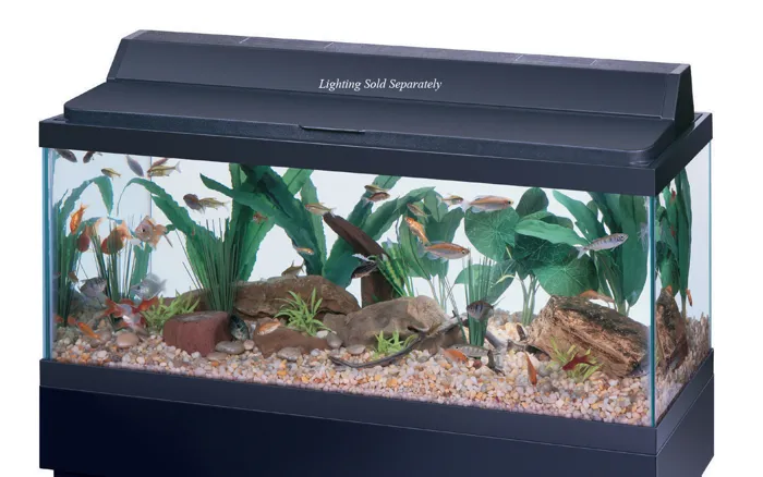 20 Gallon Long Black Trim Aquarium 30X12X12