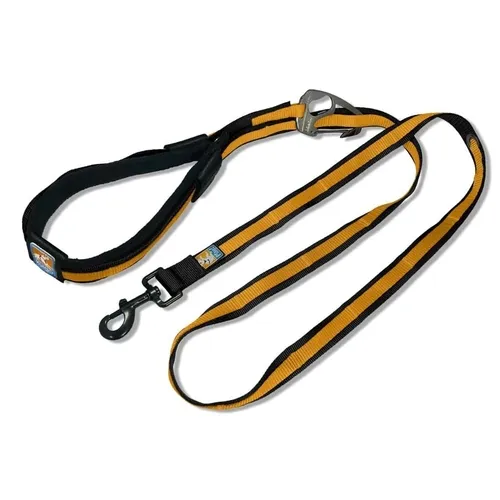 Kurgo Quantum Leash Black
