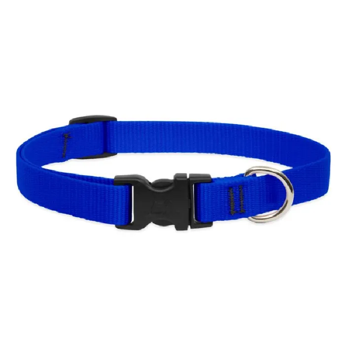 Lupine 3/4" Adj. Collar Blue 9-14" 