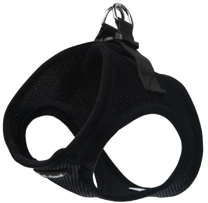 Bark Appeal EZ Wrap Black LG