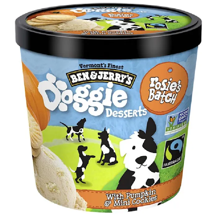 Ben & Jerry's Pumpkin Cookie 4oz Single