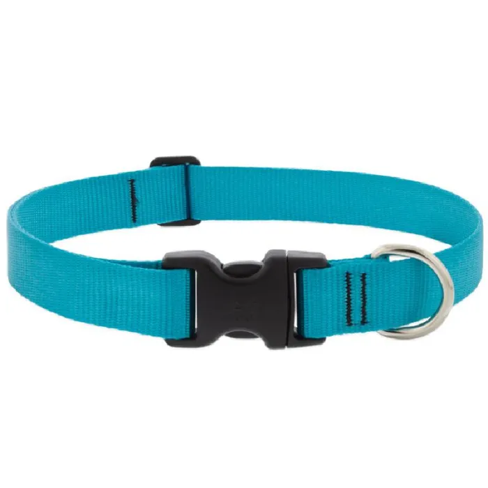 Lupine 1" Adj. Collar Teal 12-20"