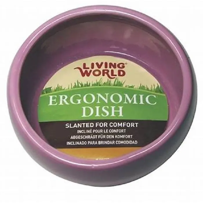 Living World Ergonomic Dish Pink Small