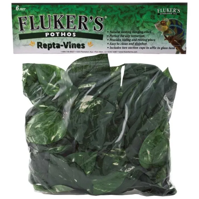 Fluker's Repta Vines Pothos 6ft