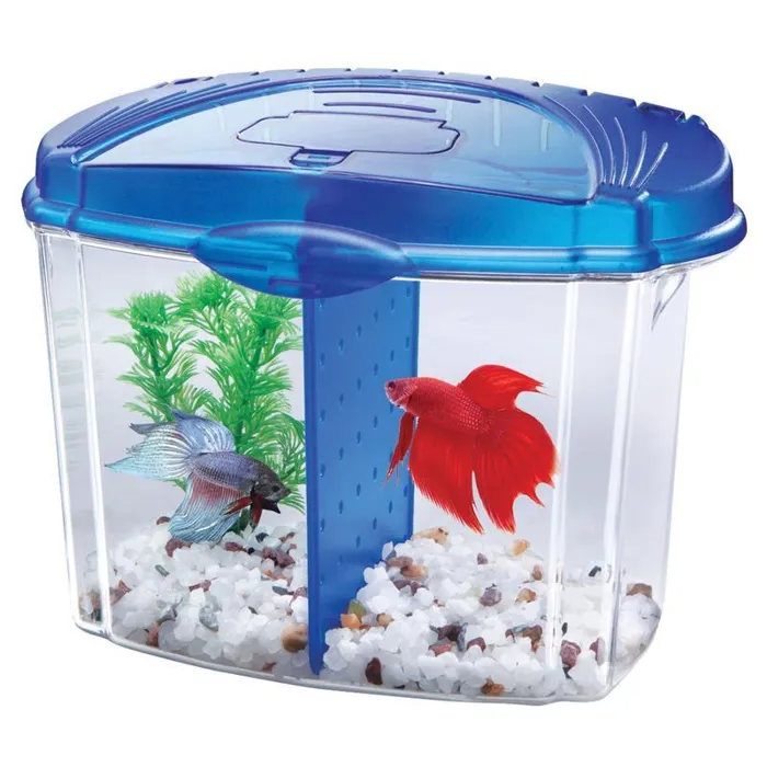 AQEN BETTA BOWL STARTER KIT