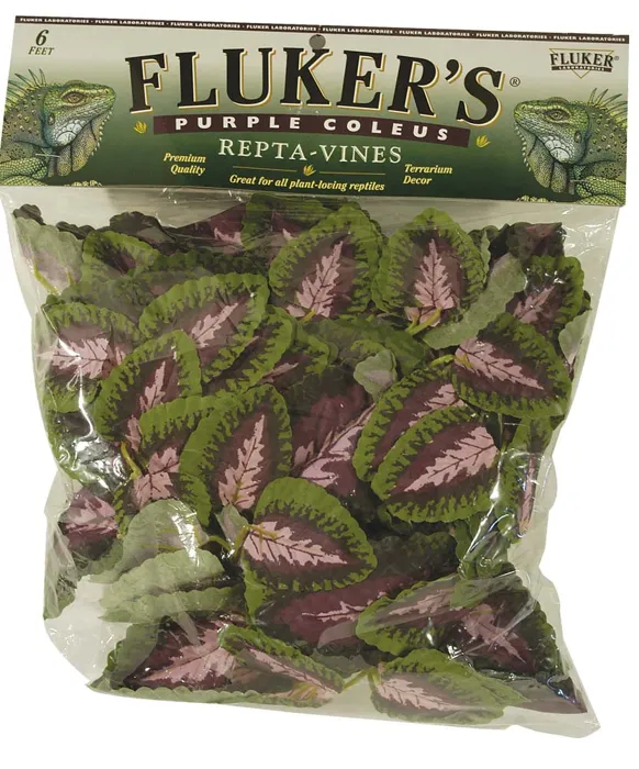 Fluker's Repta Vines Purple Coleus 6ft