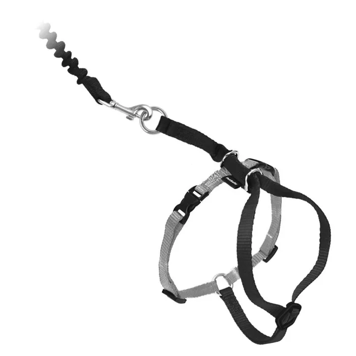 Come w/ Me Kitty Harness & Bungee Leash Bk Med