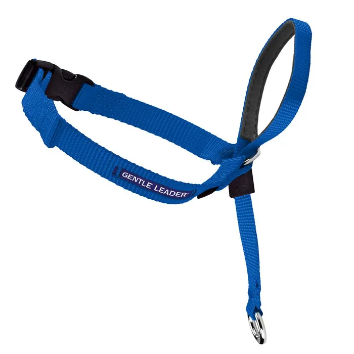 Gentle Leader Headcollar Medium 25-60 Lbs Ryl Bl