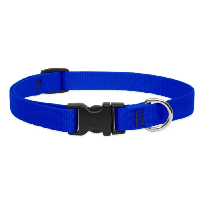 Lupine 3/4" Adj. Collar Blue 13-22" 