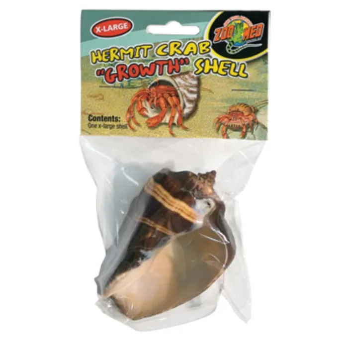 Zoomed Hermit Crab Shell X-Large