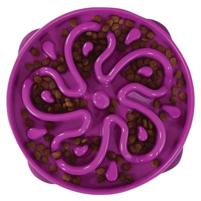 OWH Fun Feeder Purple Small