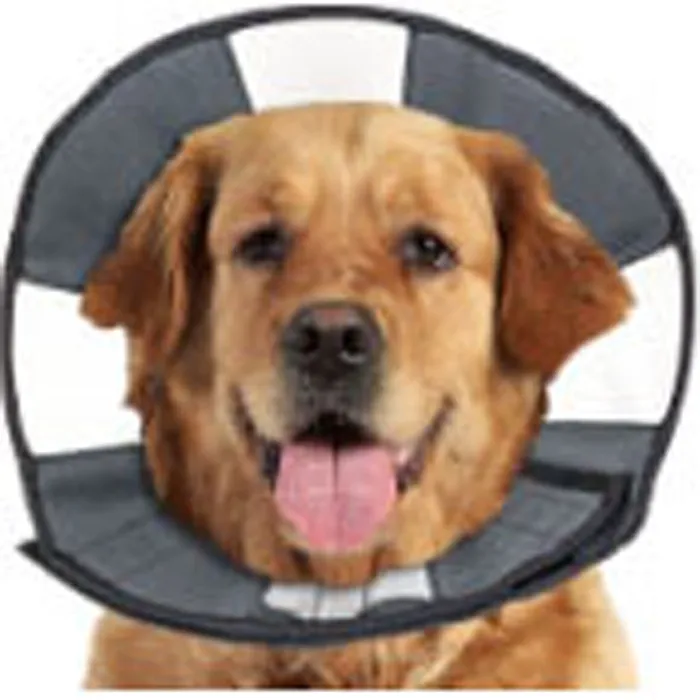 ZenPet Soft Recovery Cone XL