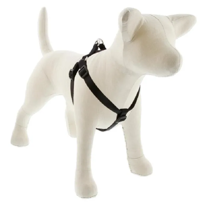 Lupine 3/4" Black 15-21" Step In