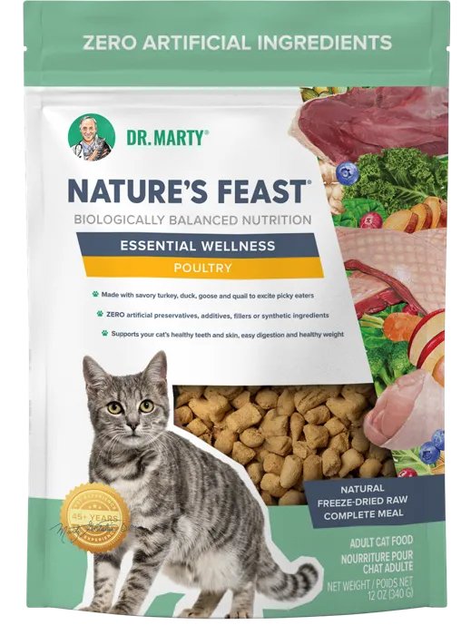 Dr Marty Cat FD Raw Poultry 12oz