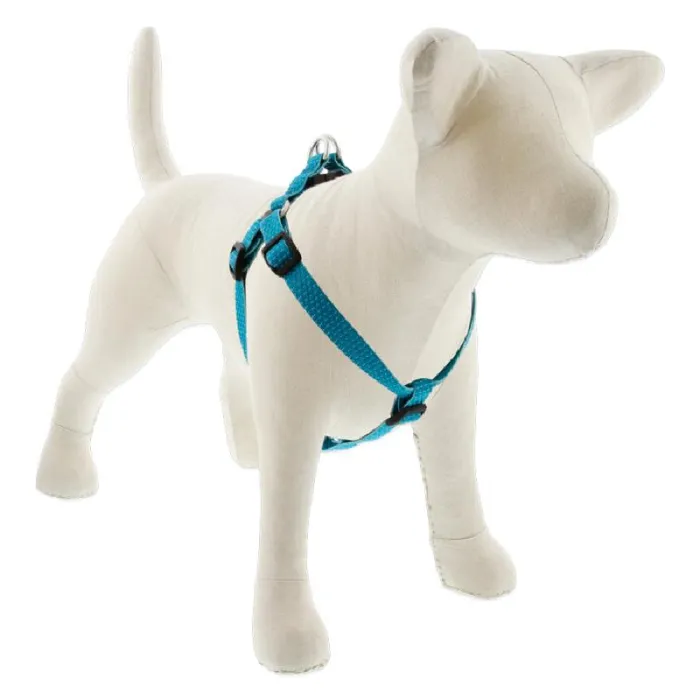 Lupine 3/4" Eco Trop Sea 15-21" Step In