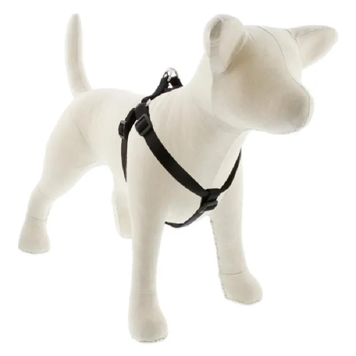 Lupine 3/4" Black 20-30" Step In