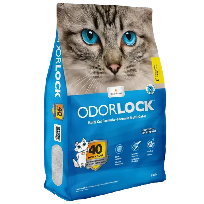 Intersand Odor Lock Cat Litter Unscented 13#