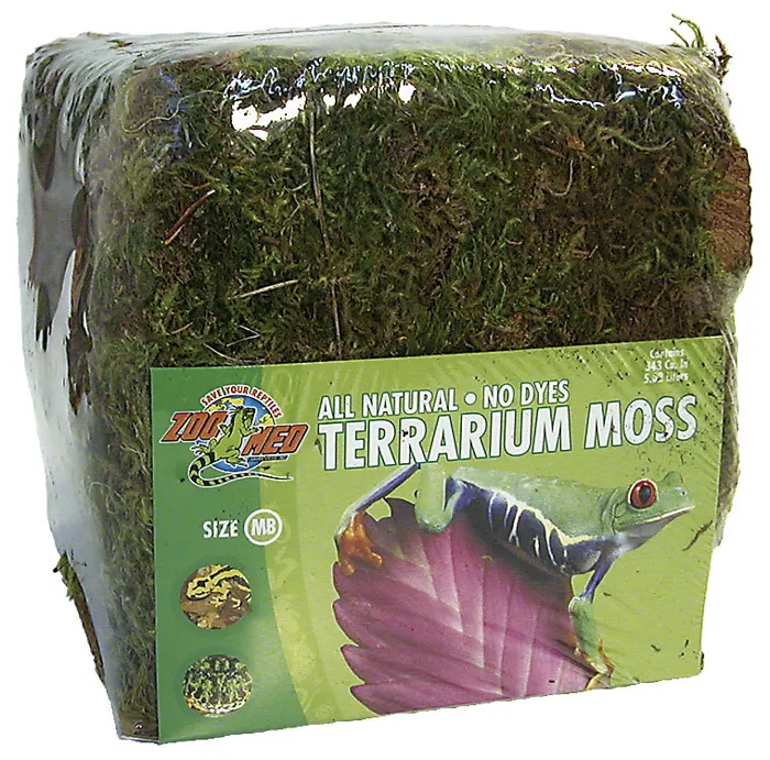 Zoomed Terrarium Green Moss 10 Gallon