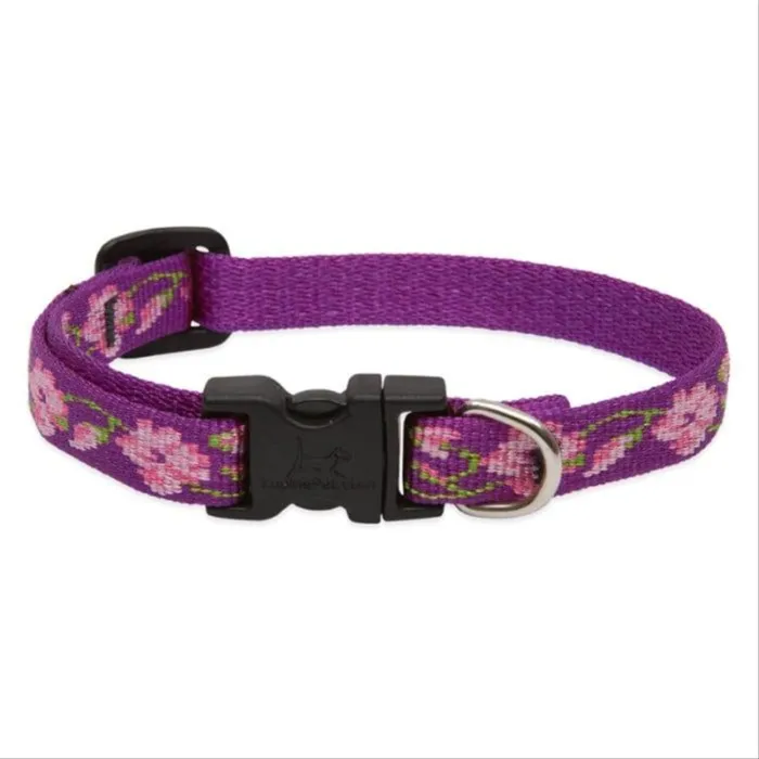 Lupine 1/2" Adj. Collar Rose Garden 10-16"