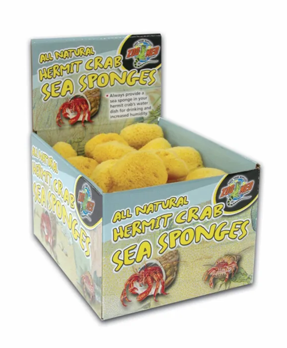 ZOO HERMIT CRAB SPONGE 36PC