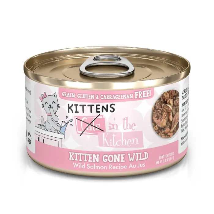 CITK Kitten Gone Wild Salmon 3oz