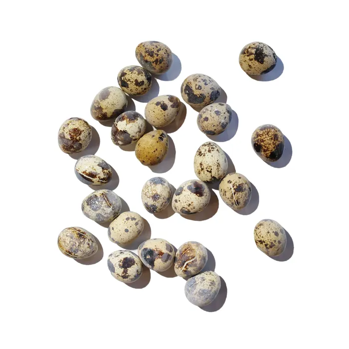 Savage Cat Frozen Quail Eggs 24ct