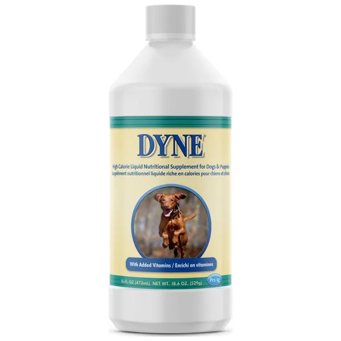 Dyne High Energy Dog 16 Oz;