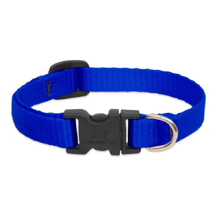 Lupine 1/2" Adj. Collar Blue 10-16"