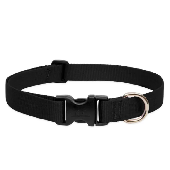 Lupine 1" Adj. Collar Black 16-28" 