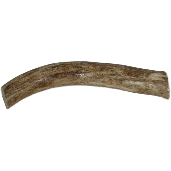 X-Small Whole Antler